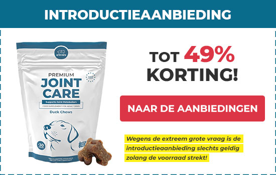Anicare Introductie Aanbieding